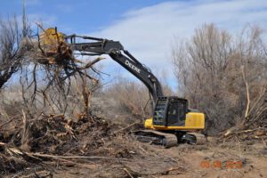 Saltcedar debris piles, May 2012