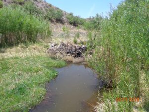 BCA beaver dam on BCA looking upstream, June 2018