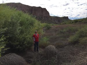 Liz standing by willows on bank, September 2016