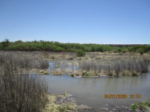 First irrigation of the season, April 2010