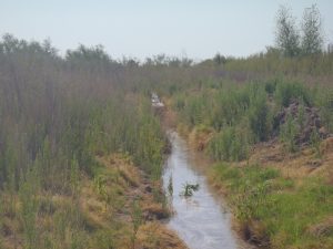 Crow Canyon B irrigation, June 2021