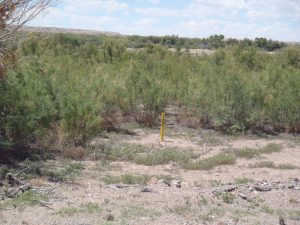 Crow Canyon C at well 3, August 2013