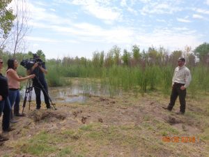 Tyler interviewed by news during irrigation, June 2018