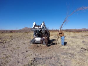 Pole planting, February 2013