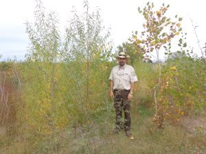 Coby and trees, October 2014