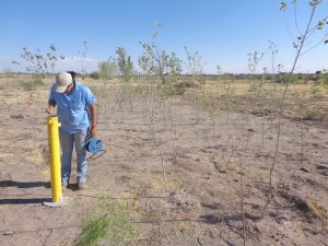 Neddie monitoring at Leasburg, May 2014