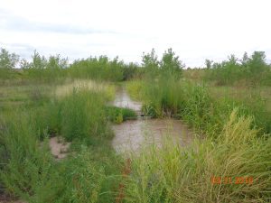 Flume and flow channel, August 2016