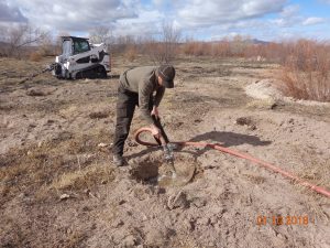 Tyler watering shrubs with hose, January 2018